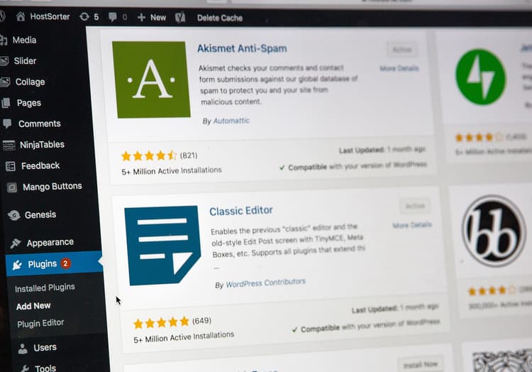WordPress plugin screen on computer
