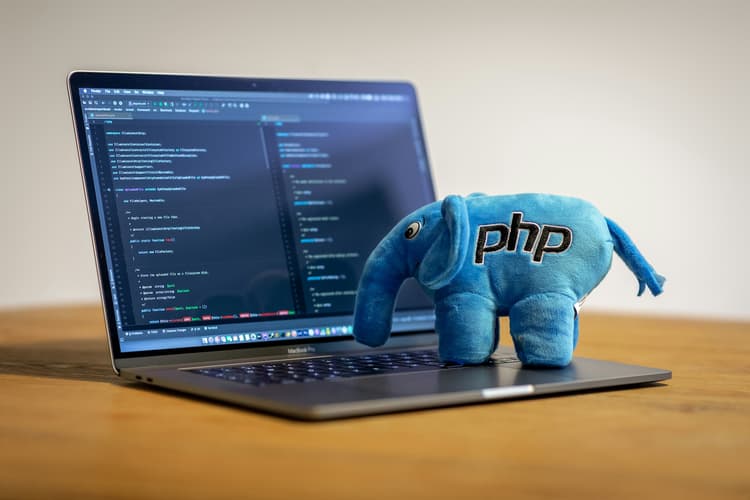 PHP elephant on a laptop showing source code during a PHP update process