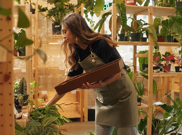 Affordable Web Design & Development Reel