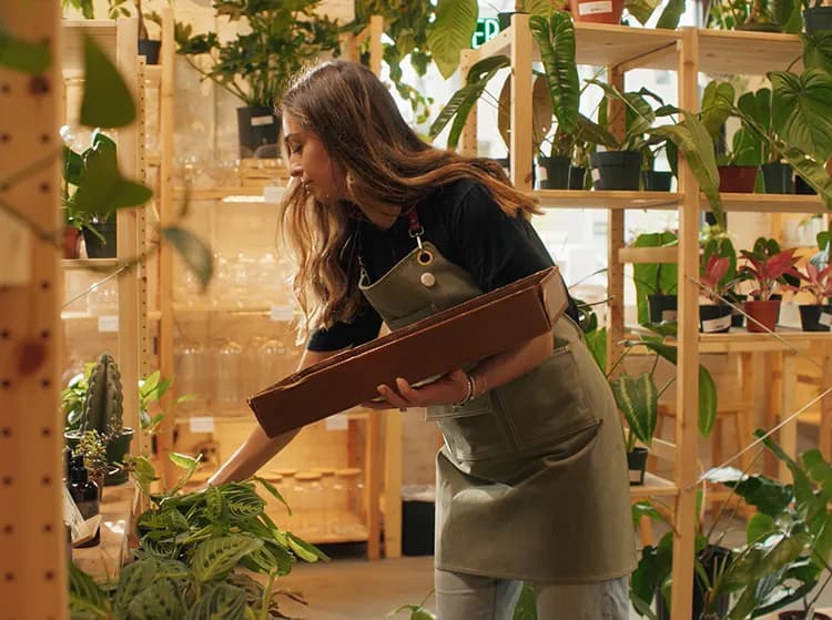 Affordable Web Design & Development Reel