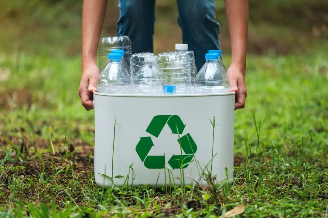 Person holding a white recycling bin filled with empty plastic water bottles on a grassy outdoor lawn