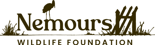 Nemours Wildlife Foundation